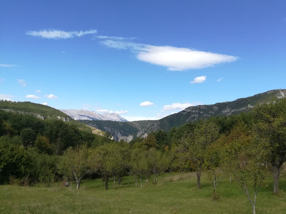 Гостевой дом Vignjišta Плужине-44